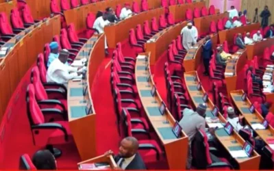 whatsapp image 2025 10 15 at 08.31.15